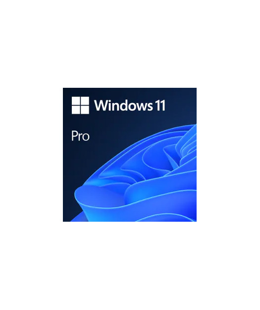 Windows%2011%20Professional-ElektronikLisans